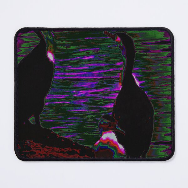 Item preview, 3 Trippy Birds of Scarborough designed and sold by Geoff Treagus.