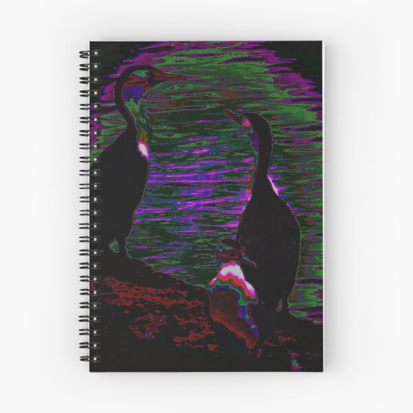 Item preview, 3 Trippy Birds of Scarborough designed and sold by Geoff Treagus.