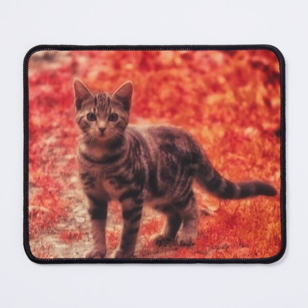 Item preview, tabby kitten  designed and sold by Francespoppy.