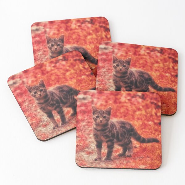 Item preview, tabby kitten  designed and sold by Francespoppy.