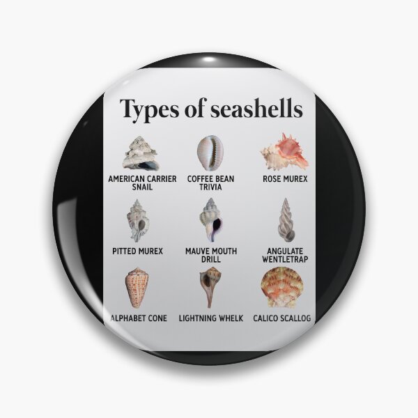 Item preview, Seashells Knowledge Retro Metal Tin Sign Type Of Seashells designed and sold by joelcleggk10.