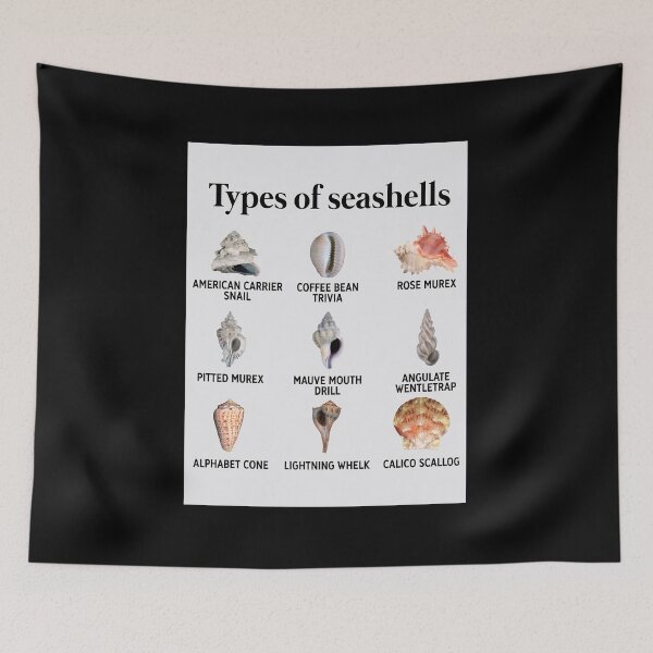 Item preview, Seashells Knowledge Retro Metal Tin Sign Type Of Seashells designed and sold by joelcleggk10.