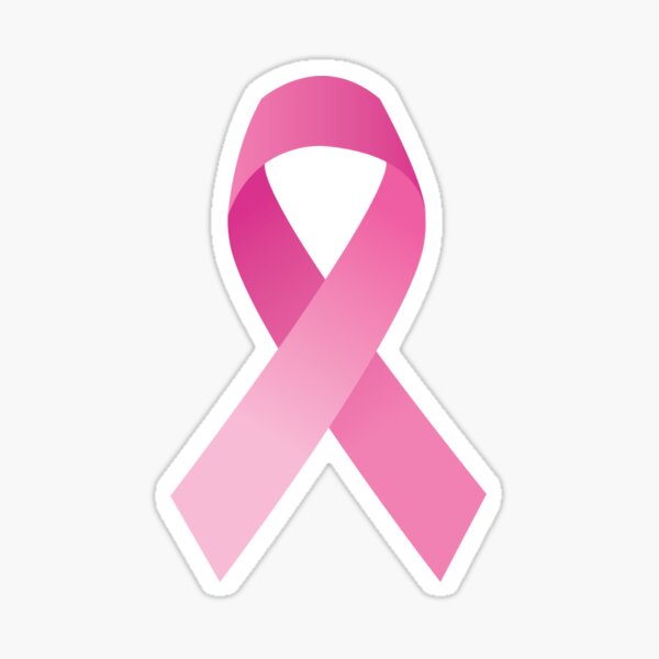 VRS LOVE SOMEONE FIGHTING CANCER Ribbon Awareness Heart Survivor CAR METAL DECAL 