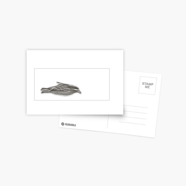Fulmar Postcard