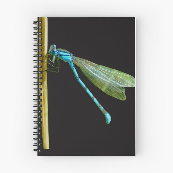 Item preview, Damselfly designed and sold by Nicole Gath.