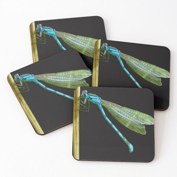 Item preview, Damselfly designed and sold by Nicole Gath.