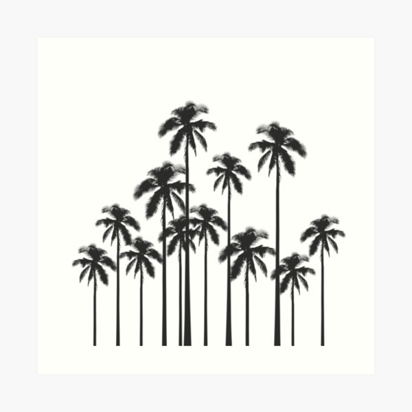 Black and White Exotic Tropical Palm Trees Art Print