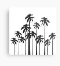 Black and White Exotic Tropical Palm Trees Metal Print