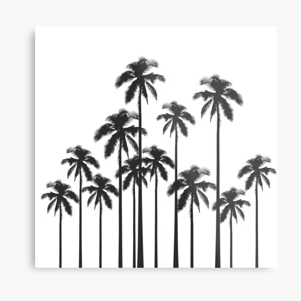 Black and White Exotic Tropical Palm Trees Metal Print