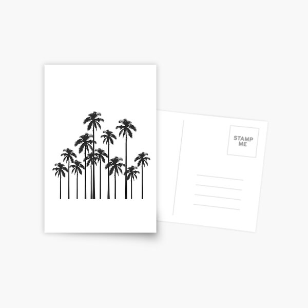 Black and White Exotic Tropical Palm Trees Postcard
