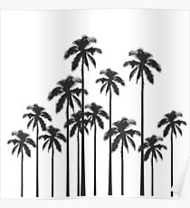 Exotische tropische Schwarzweiss-Palmen Poster