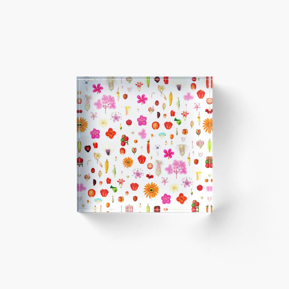 Item preview, Acrylic Block designed and sold by BethLeo.