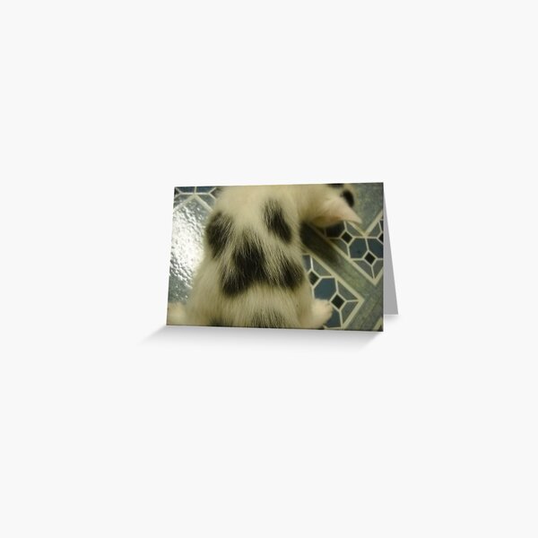 Happy Kitty is Happy Greeting Card