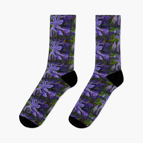 Item preview, Agapanthus Flowers designed and sold by Nicole Gath.