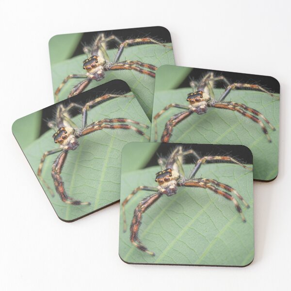 Item preview, The two-striped jumper (Telamonia dimidiata) designed and sold by AvonPerception.