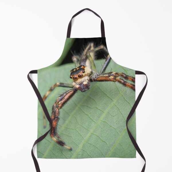Item preview, The two-striped jumper (Telamonia dimidiata) designed and sold by AvonPerception.