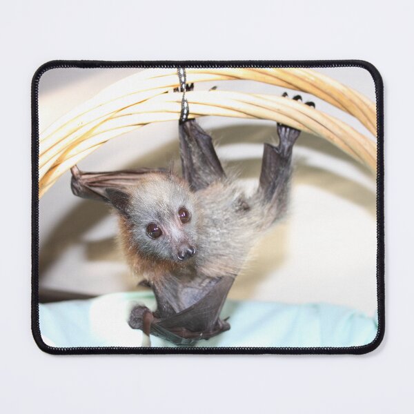 Item preview, Angel Baby - Grey-headed Flying-fox designed and sold by Janine Davies.