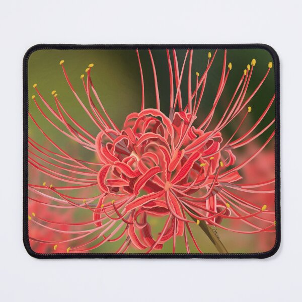 Item preview, Red spider lily designed and sold by Purplepugprints.