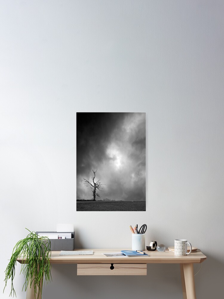 Thumbnail 2 of 3, Poster, Lone Tree designed and sold by richard49.