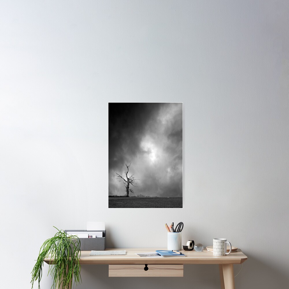 Item preview, Poster designed and sold by richard49.