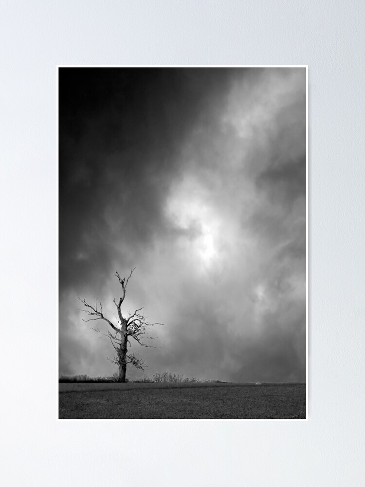 Thumbnail 1 of 3, Poster, Lone Tree designed and sold by richard49.