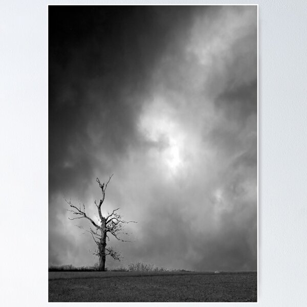 Item preview, Lone Tree designed and sold by Richard Allen.