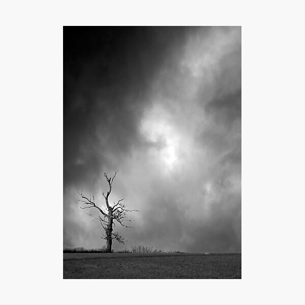Item preview, Lone Tree designed and sold by Richard Allen.