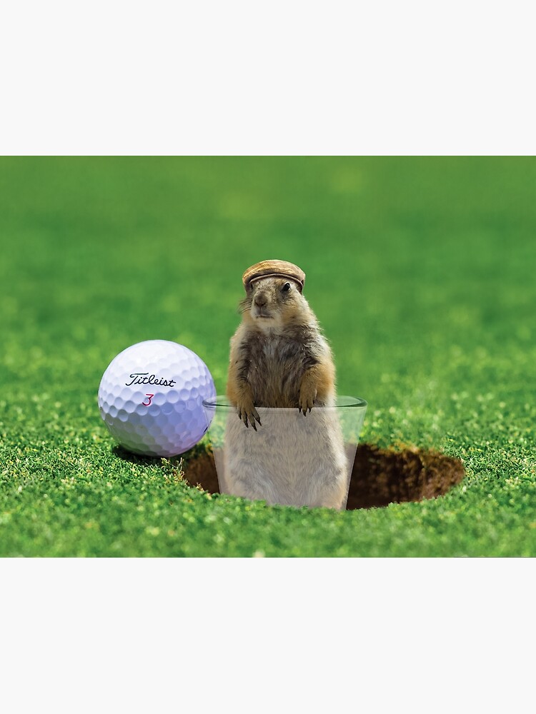 "Gopher Golf" Canvas Print for Sale by BigRedCurlyGuy Redbubble