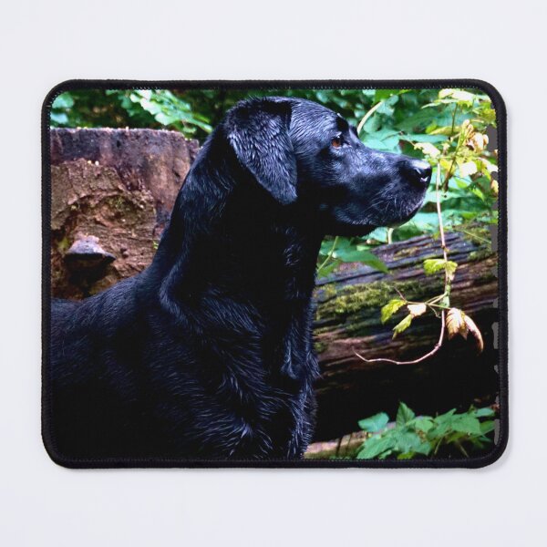 Item preview, Black Labrador designed and sold by Nicole Gath.