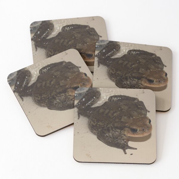Item preview, Toad in the sink 1 designed and sold by Furiarossa.