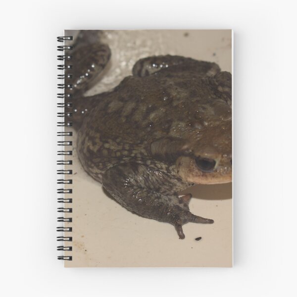 Item preview, Toad in the sink 1 designed and sold by Furiarossa.