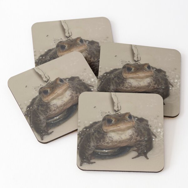 Item preview, Toad in the sink 2 designed and sold by Furiarossa.