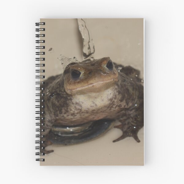 Item preview, Toad in the sink 2 designed and sold by Furiarossa.
