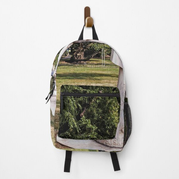 Item preview, As Seen In The Public Parks Of Prague - 1 © designed and sold by © Hany G. Jadaa © Prince John Photography.