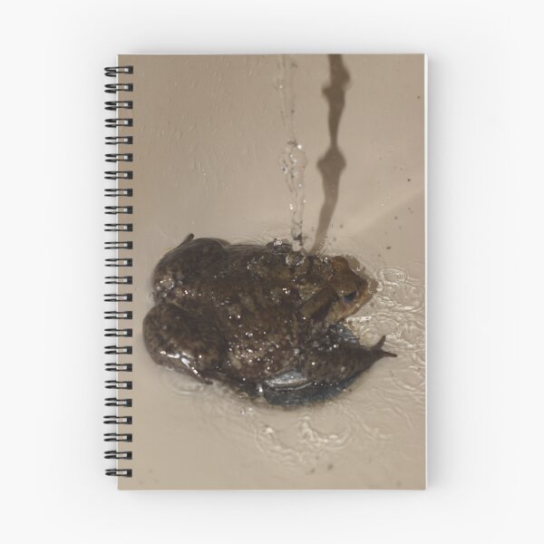 Item preview, Toad in the sink 3 designed and sold by Furiarossa.