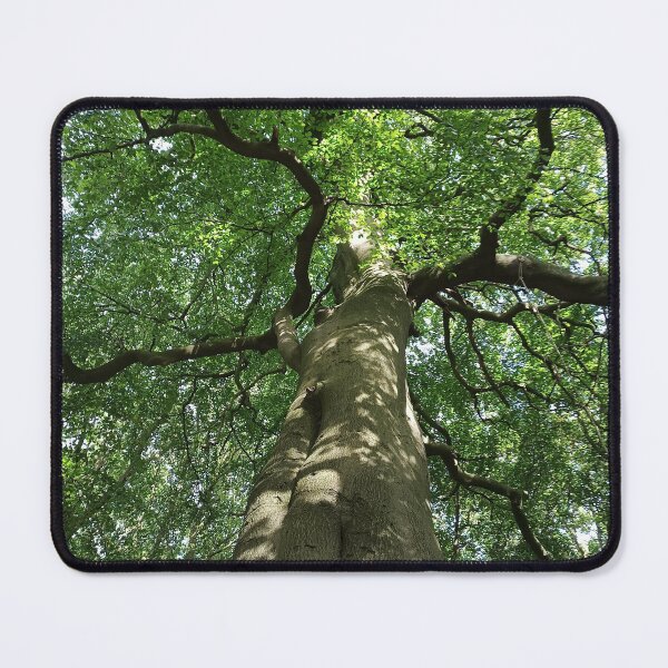 Item preview, Beautiful tree  designed and sold by Skycladstevie.