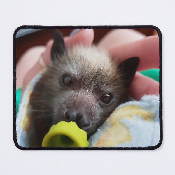 Item preview, Enya - Grey-headed Flying-fox designed and sold by Janine Davies.