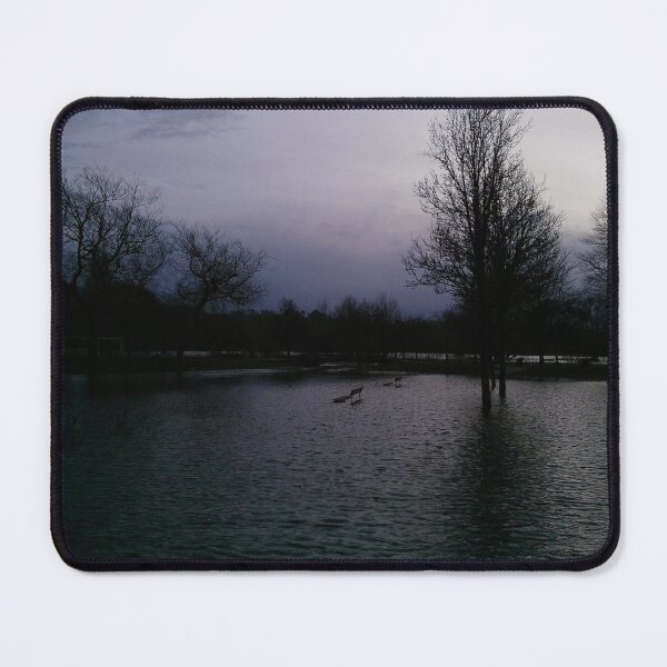 Item preview, Salisbury park designed and sold by Skycladstevie.