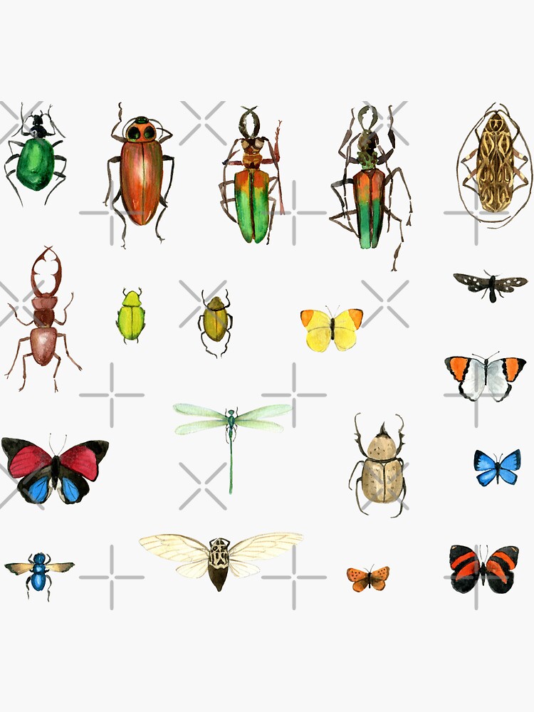 The Usual Suspects - insects on white - watercolour bugs pattern by Cecca Designs by Cecca-Designs