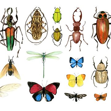 Artwork thumbnail, The Usual Suspects - insects on white - watercolour bugs pattern by Cecca Designs by Cecca-Designs