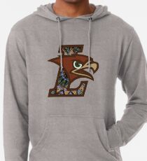 brown university sweatshirt