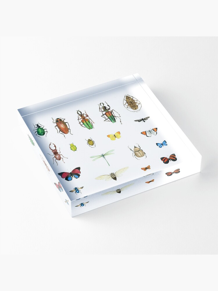 Alternate view of The Usual Suspects - insects on white - watercolour bugs pattern by Cecca Designs Acrylic Block