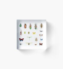 The Usual Suspects - insects on white - watercolour bugs pattern by Cecca Designs Acrylic Block