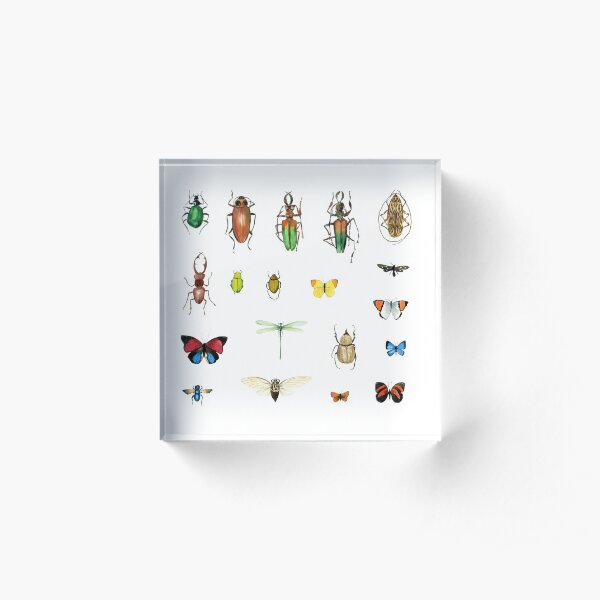 The Usual Suspects - insects on white - watercolour bugs pattern by Cecca Designs Acrylic Block