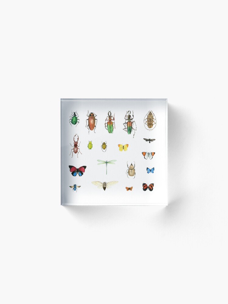 Alternate view of The Usual Suspects - insects on white - watercolour bugs pattern by Cecca Designs Acrylic Block