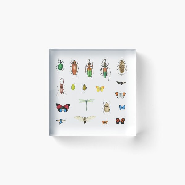 The Usual Suspects - insects on white - watercolour bugs pattern by Cecca Designs Acrylic Block