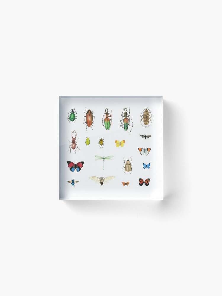 Alternate view of The Usual Suspects - insects on white - watercolour bugs pattern by Cecca Designs Acrylic Block