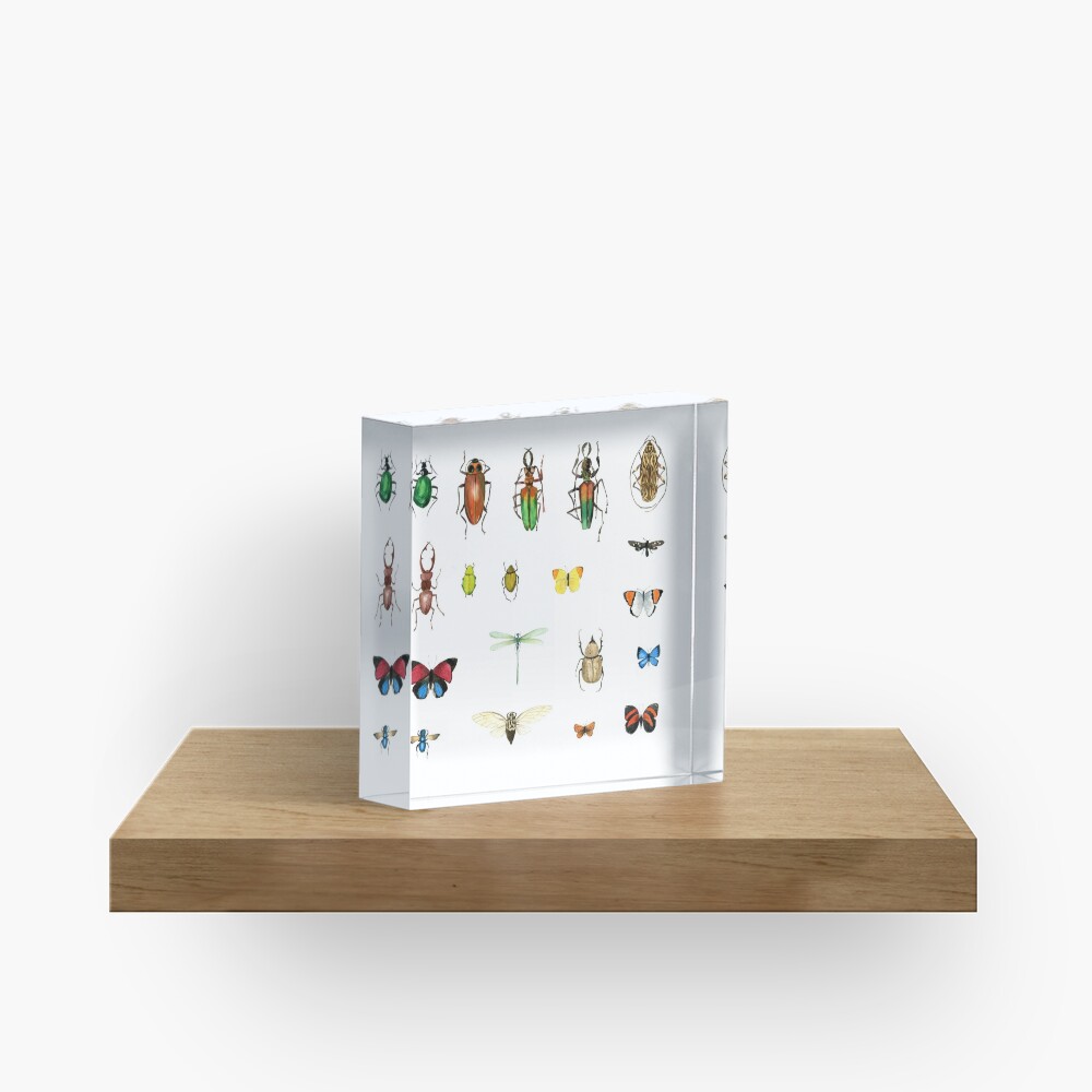 The Usual Suspects - insects on white - watercolour bugs pattern by Cecca Designs Acrylic Block