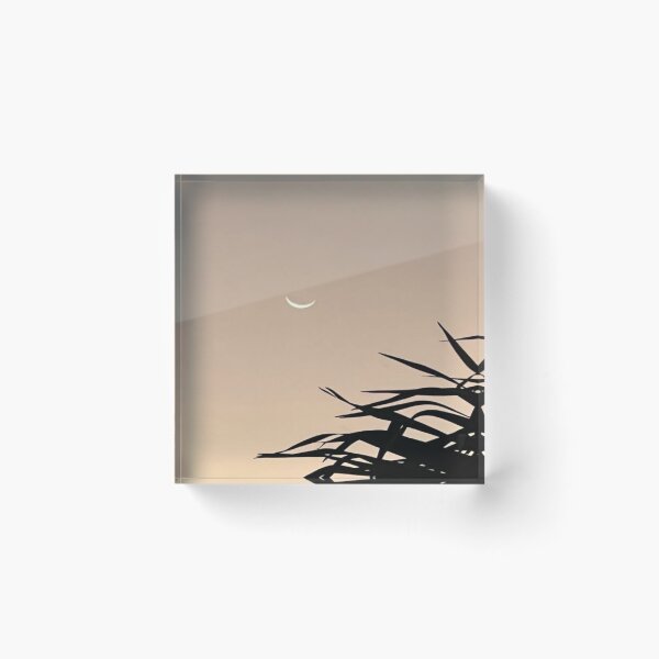 Item preview, Crescent Moon Art designed and sold by adoredigitals.