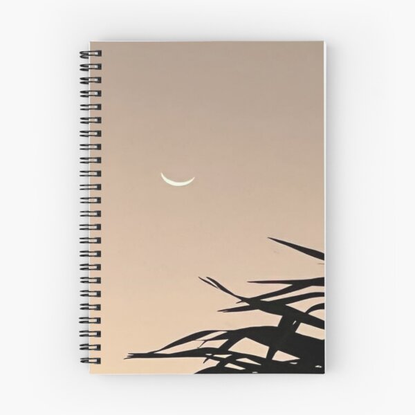 Item preview, Crescent Moon Art designed and sold by adoredigitals.
